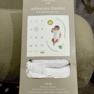 Baby milestone blanket